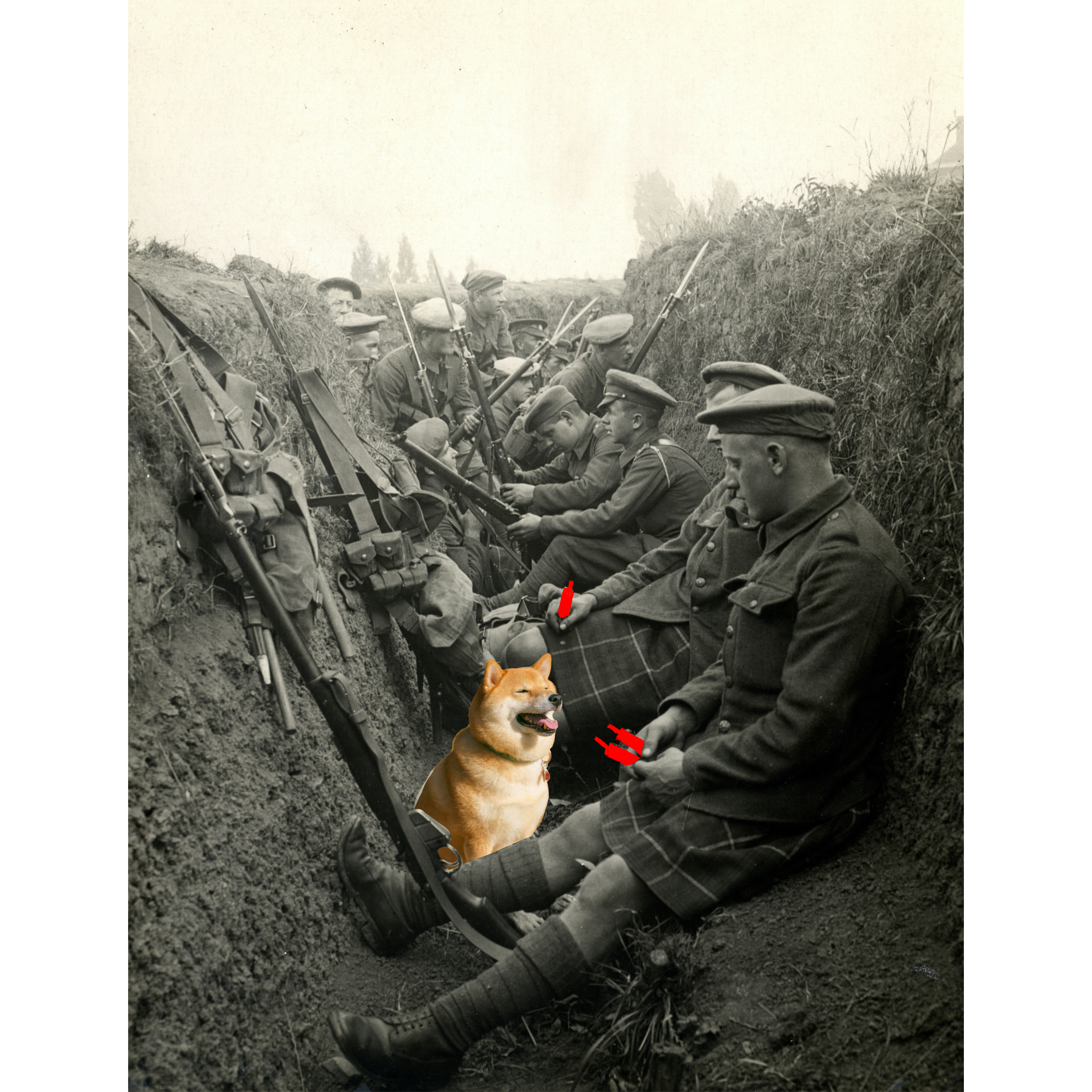 The Trenches