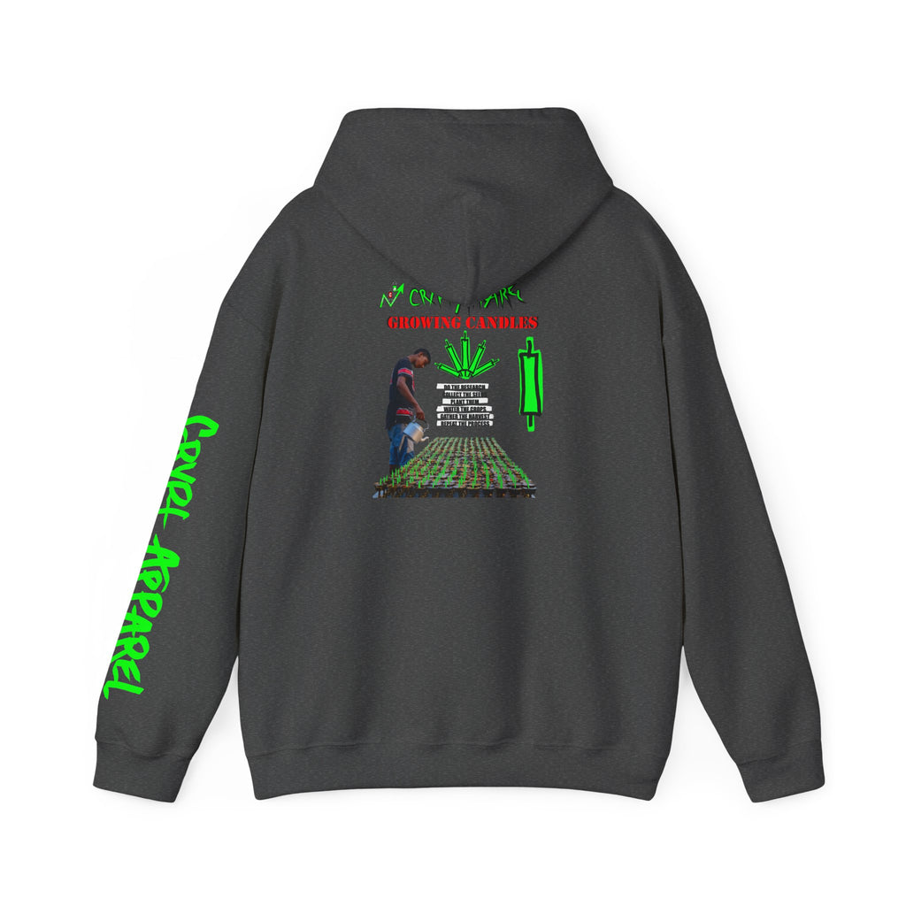 Growing Candles Crypto Hoodie | Crypt Apparel Nurturing Charts