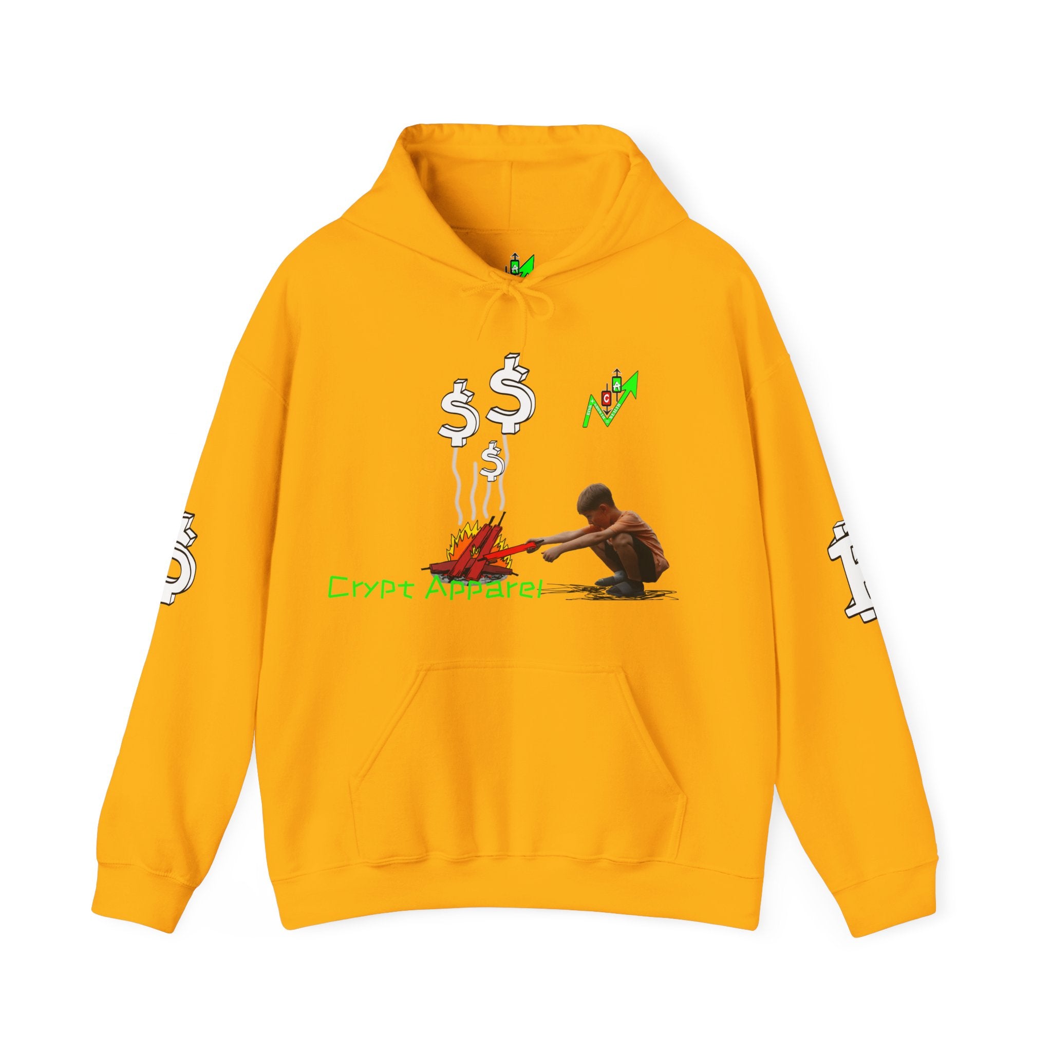 Born This Way Crypto hoodie | Crypt Apparel Bitcoin inspired sweatshirt