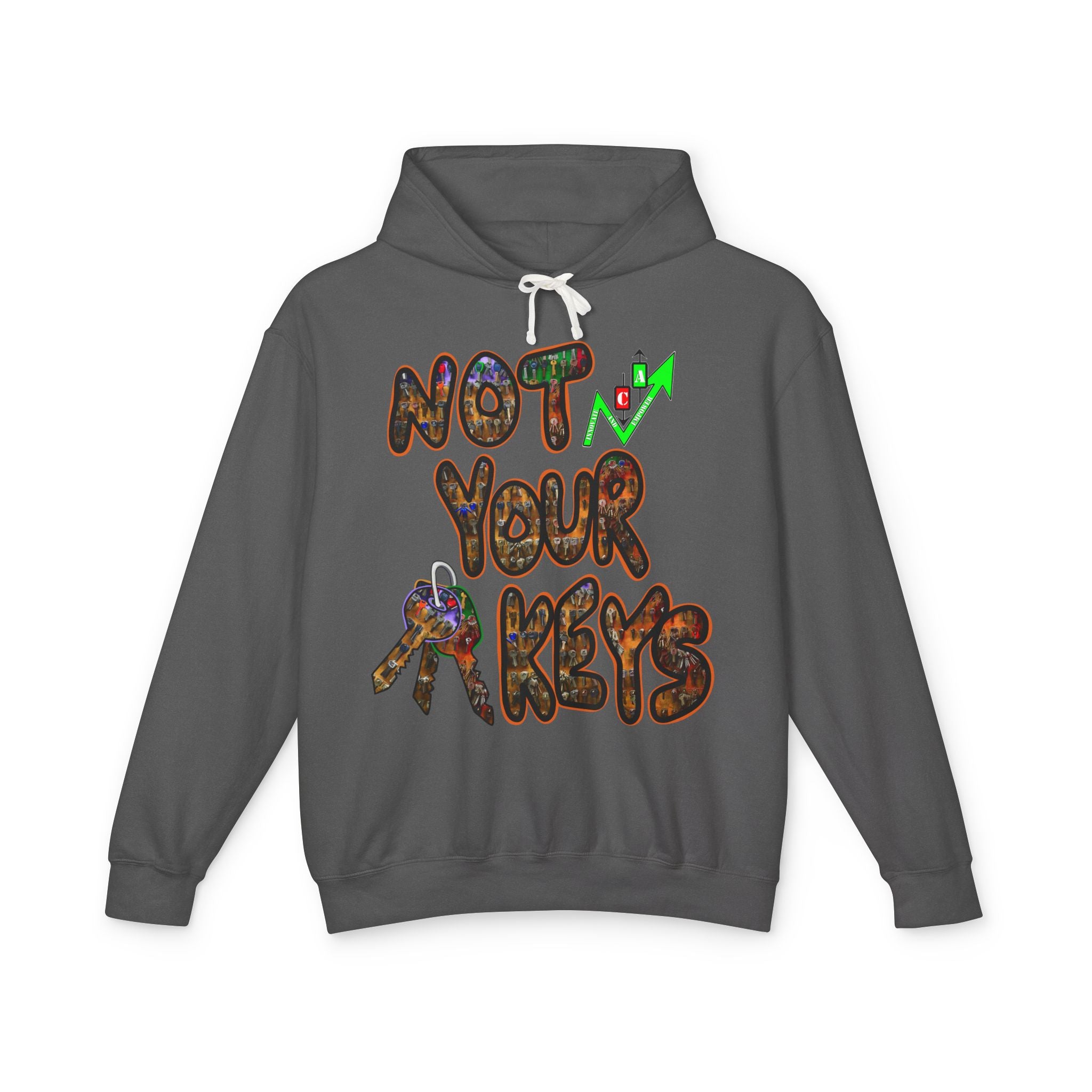Not Your Keys/ Not Your Coins Graphic Hoodie — Crypto Lightweight Hoodie