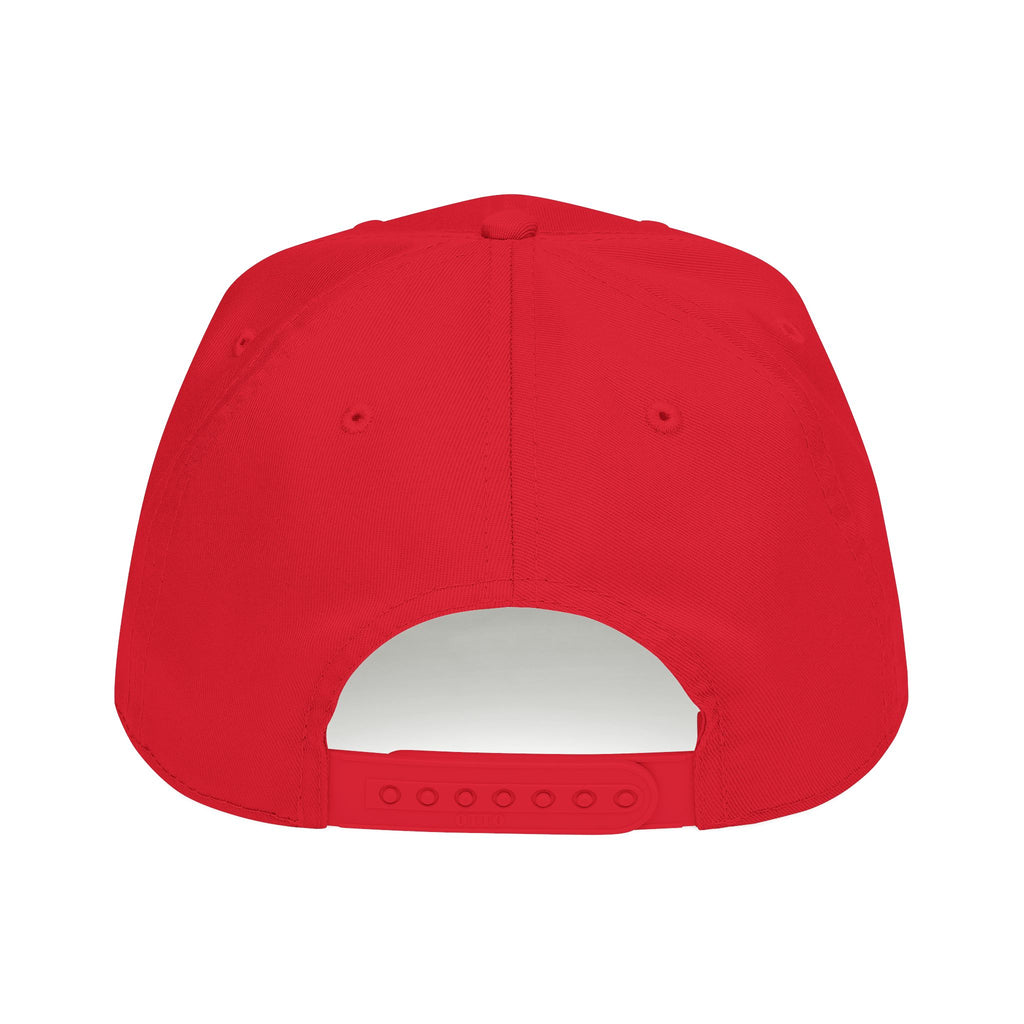 Meme Coin Millionaire Baseball Cap — Crypto Art Snapback