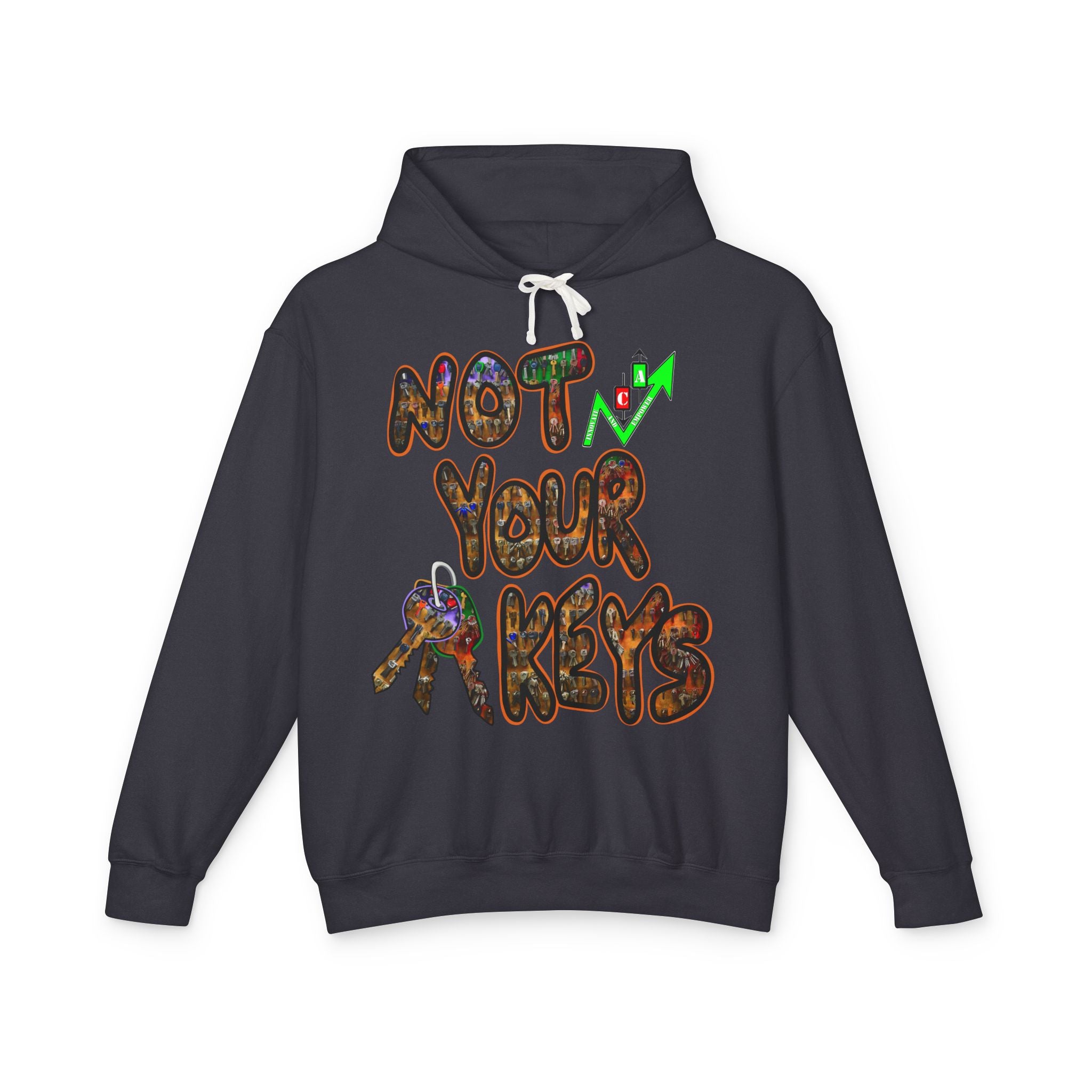Not Your Keys/ Not Your Coins Graphic Hoodie — Crypto Lightweight Hoodie