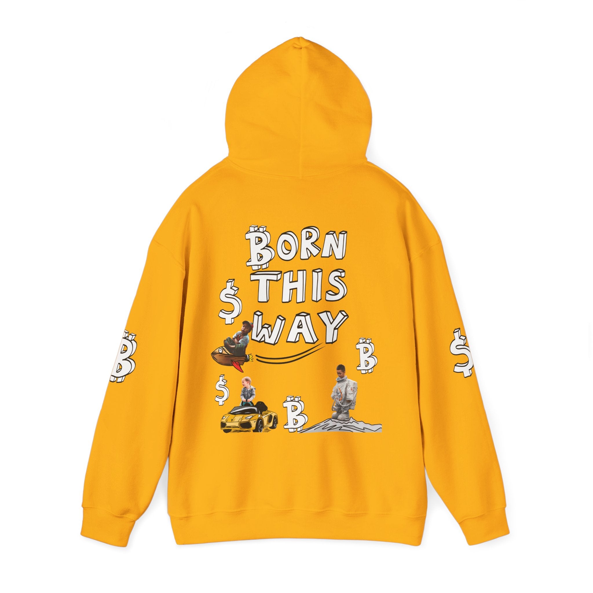 Born This Way Crypto hoodie | Crypt Apparel Bitcoin inspired sweatshirt