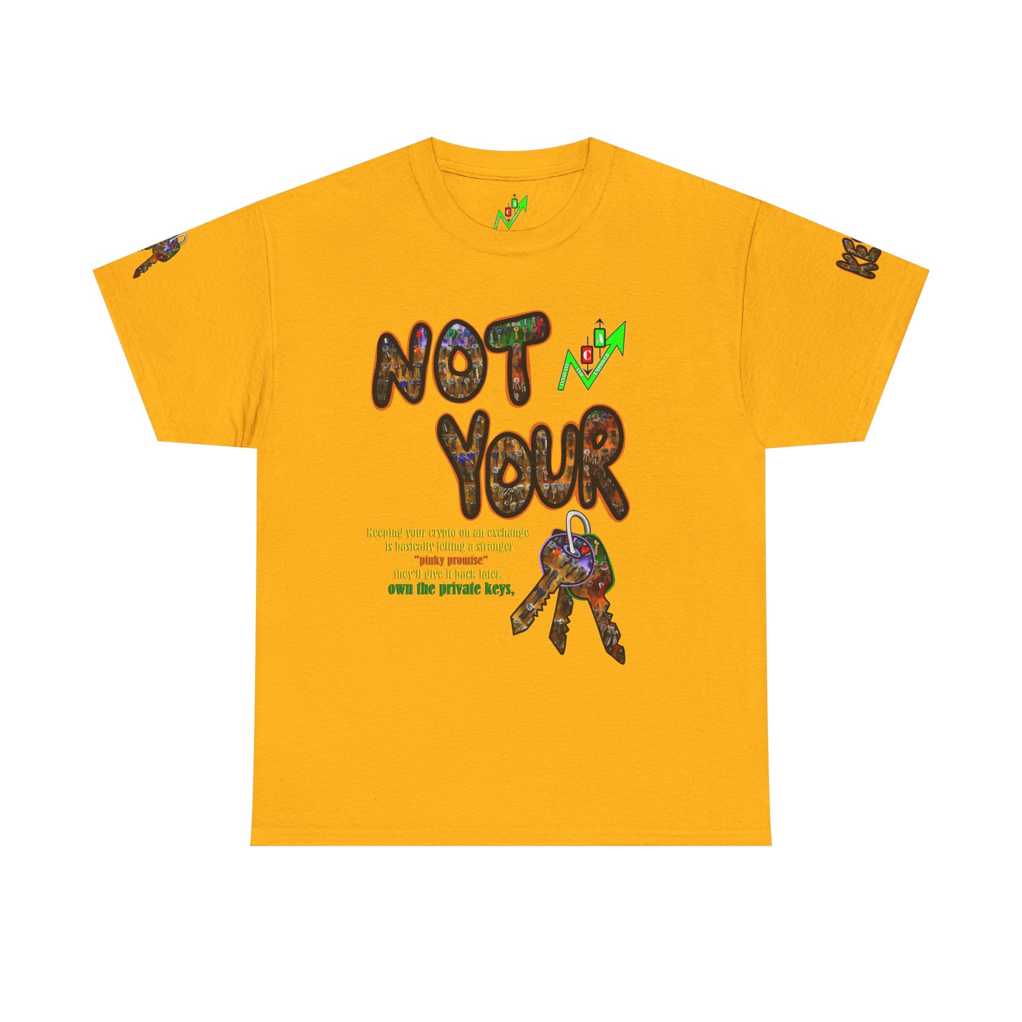 Not Your Keys Graphic Tee — "Crypt Apparel" Statement T-Shirt