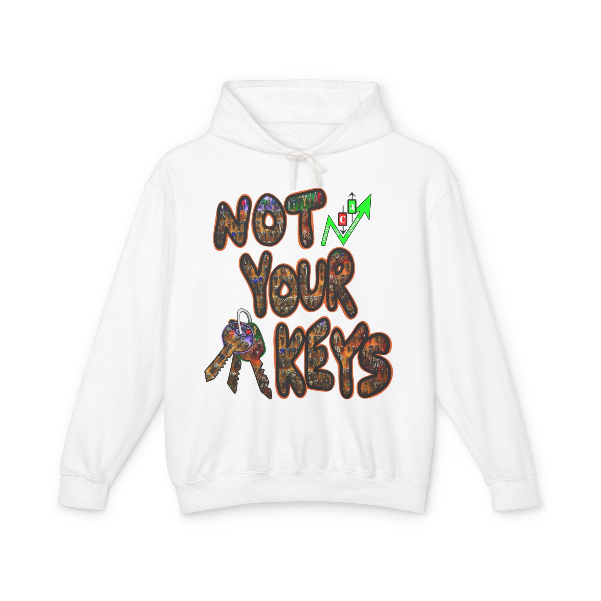 Not Your Keys/ Not Your Coins Graphic Hoodie — Crypto Lightweight Hoodie