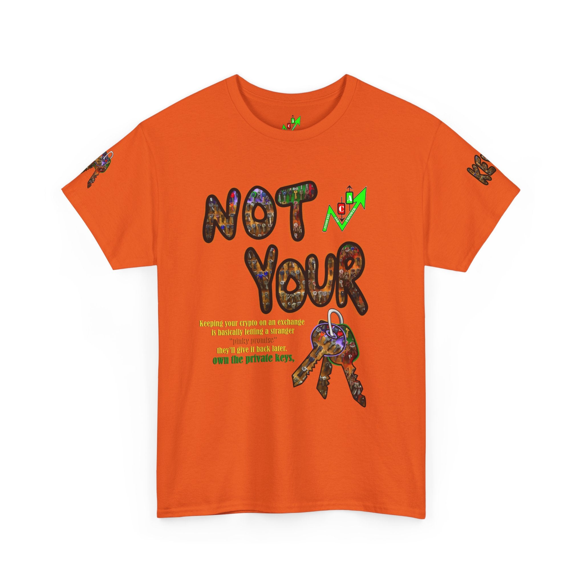 Not Your Keys Graphic Tee — "Crypt Apparel" Statement T-Shirt