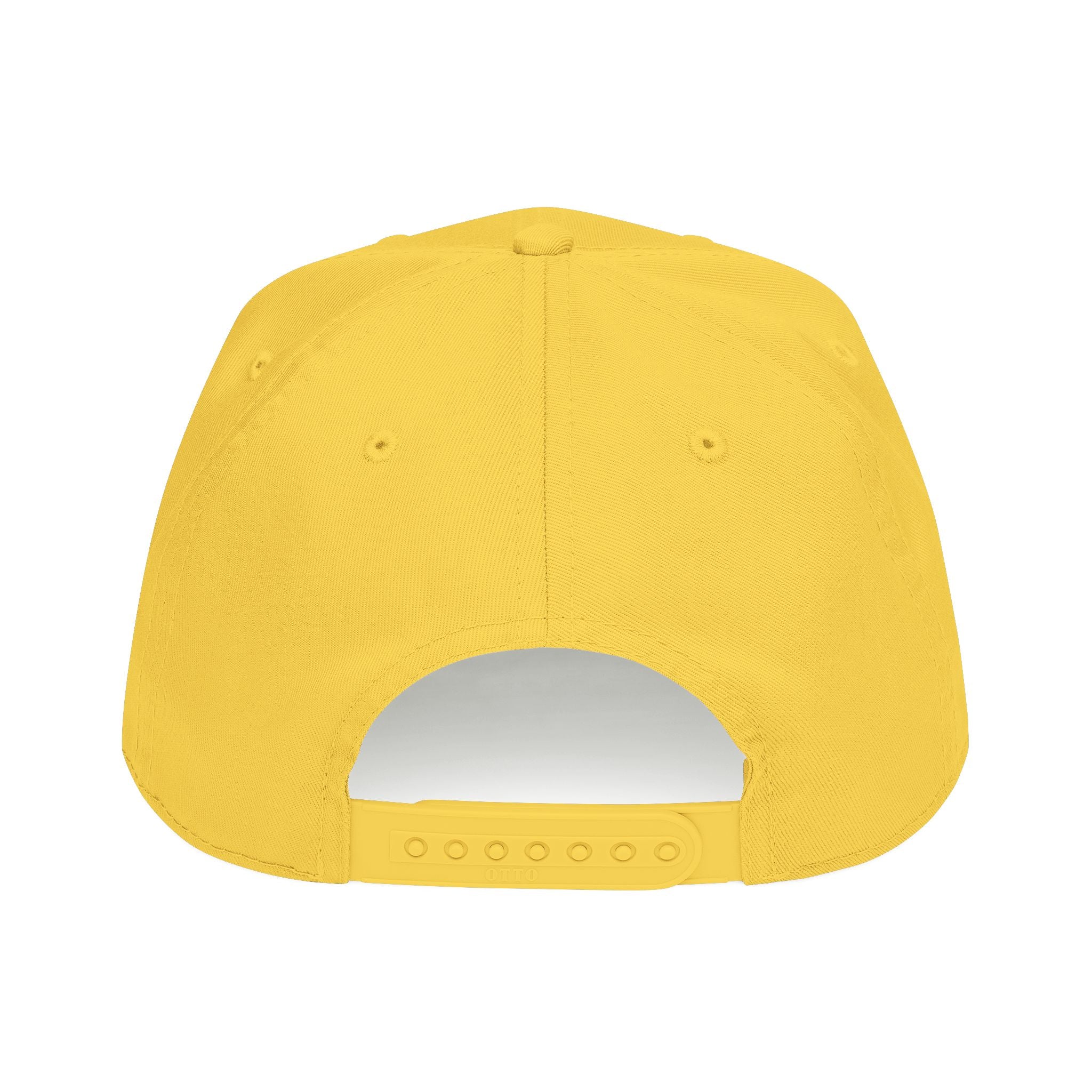 Meme Coin Millionaire Baseball Cap — Crypto Art Snapback