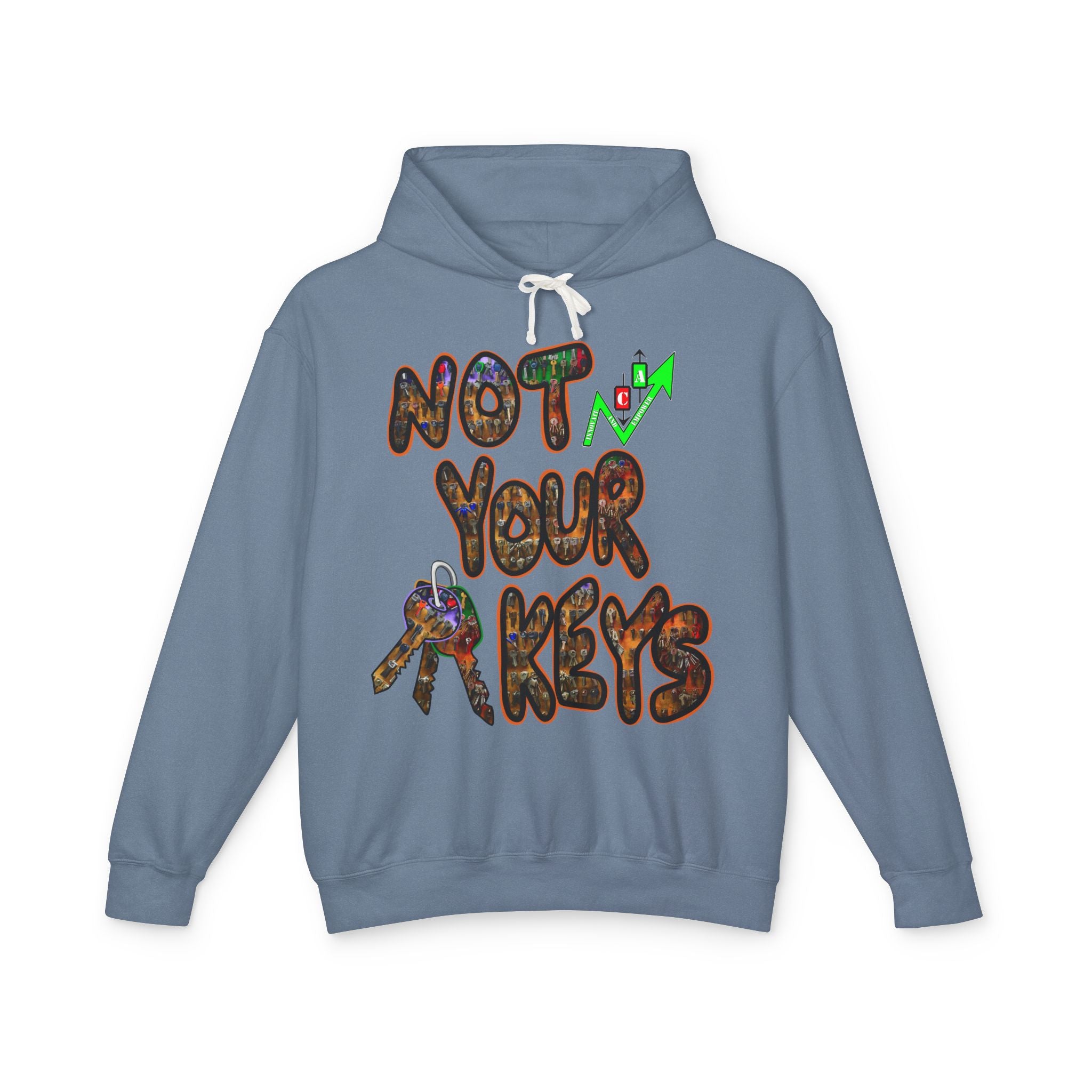 Not Your Keys/ Not Your Coins Graphic Hoodie — Crypto Lightweight Hoodie