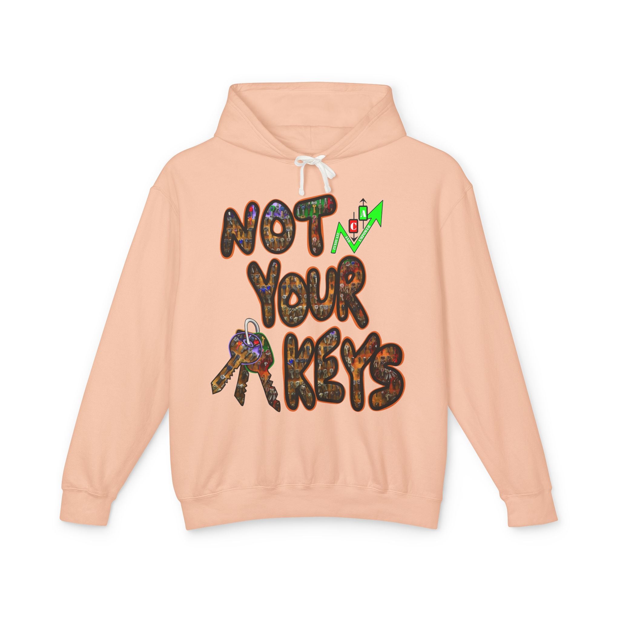 Not Your Keys/ Not Your Coins Graphic Hoodie — Crypto Lightweight Hoodie