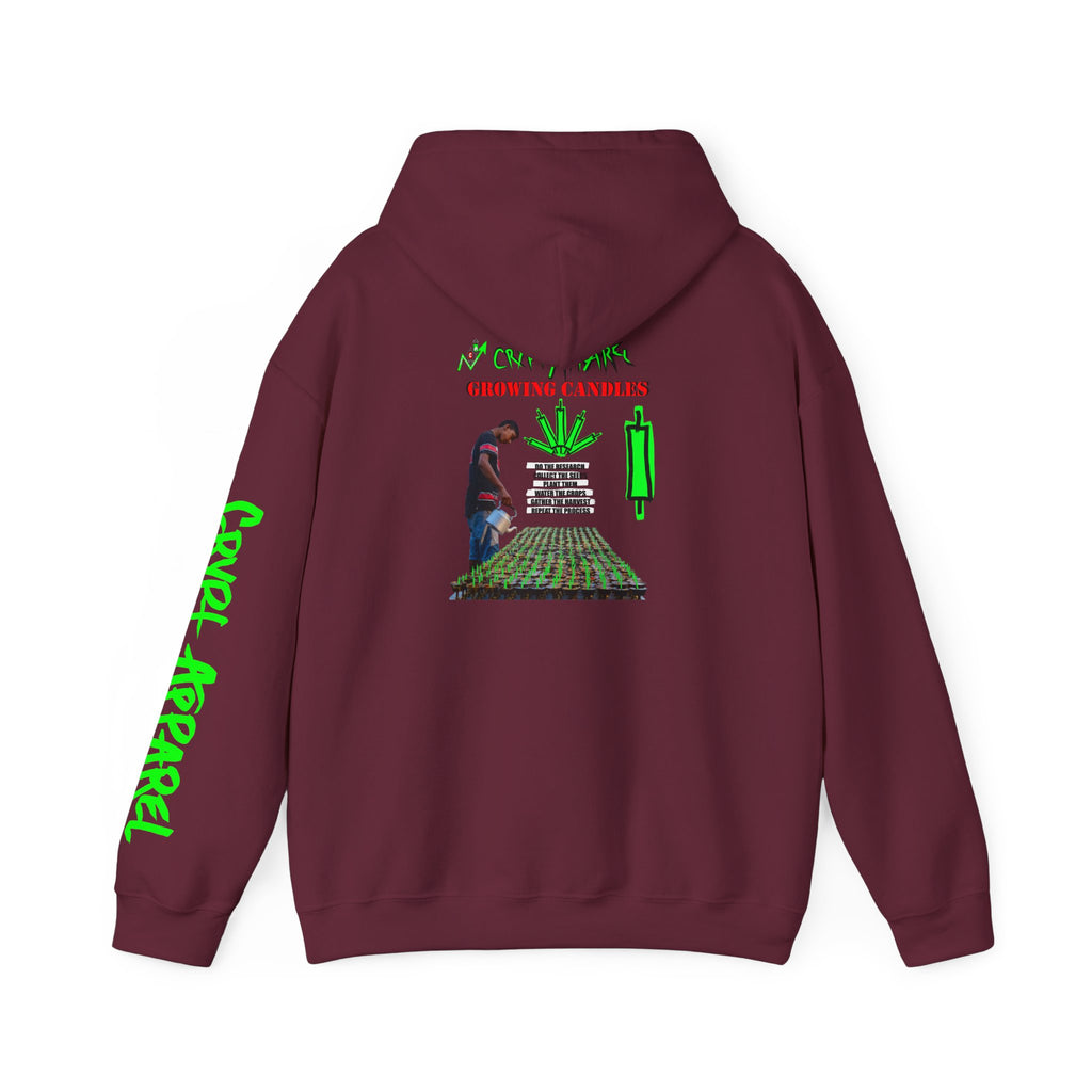 Growing Candles Crypto Hoodie | Crypt Apparel Nurturing Charts