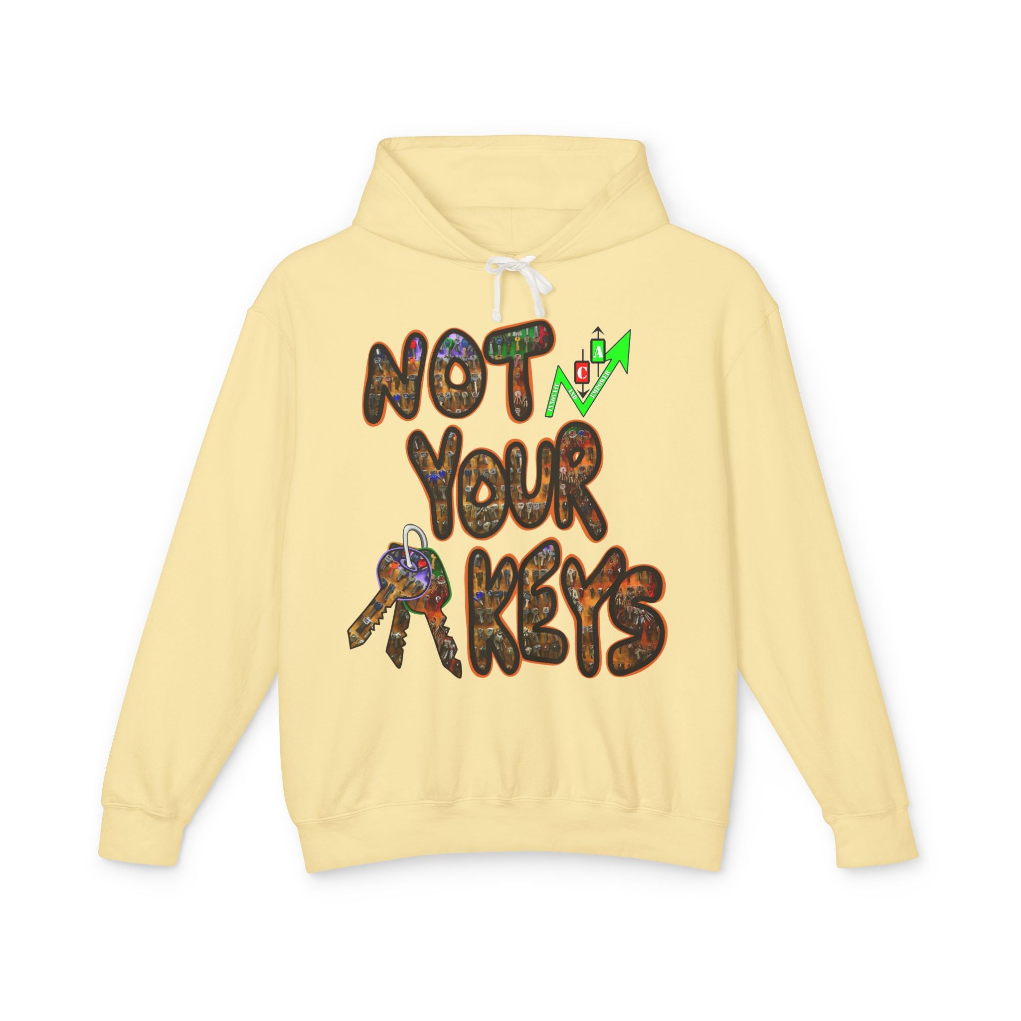 Not Your Keys/ Not Your Coins Graphic Hoodie — Crypto Lightweight Hoodie